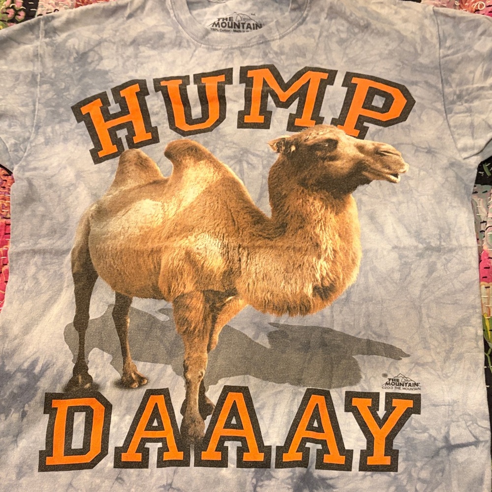 The Mountain Camel T-Shirt with Orange and Brown